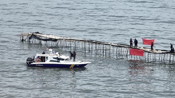 Pagar Bambu Raksasa di Laut Tangerang, Siapa Pelakunya?