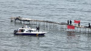 Rahasia 20 SHGB di Pagar Laut Tangerang: Aguan Buka Suara?