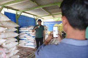 Rahasia di Balik Kemudahan Akses Pupuk Subsidi Petani